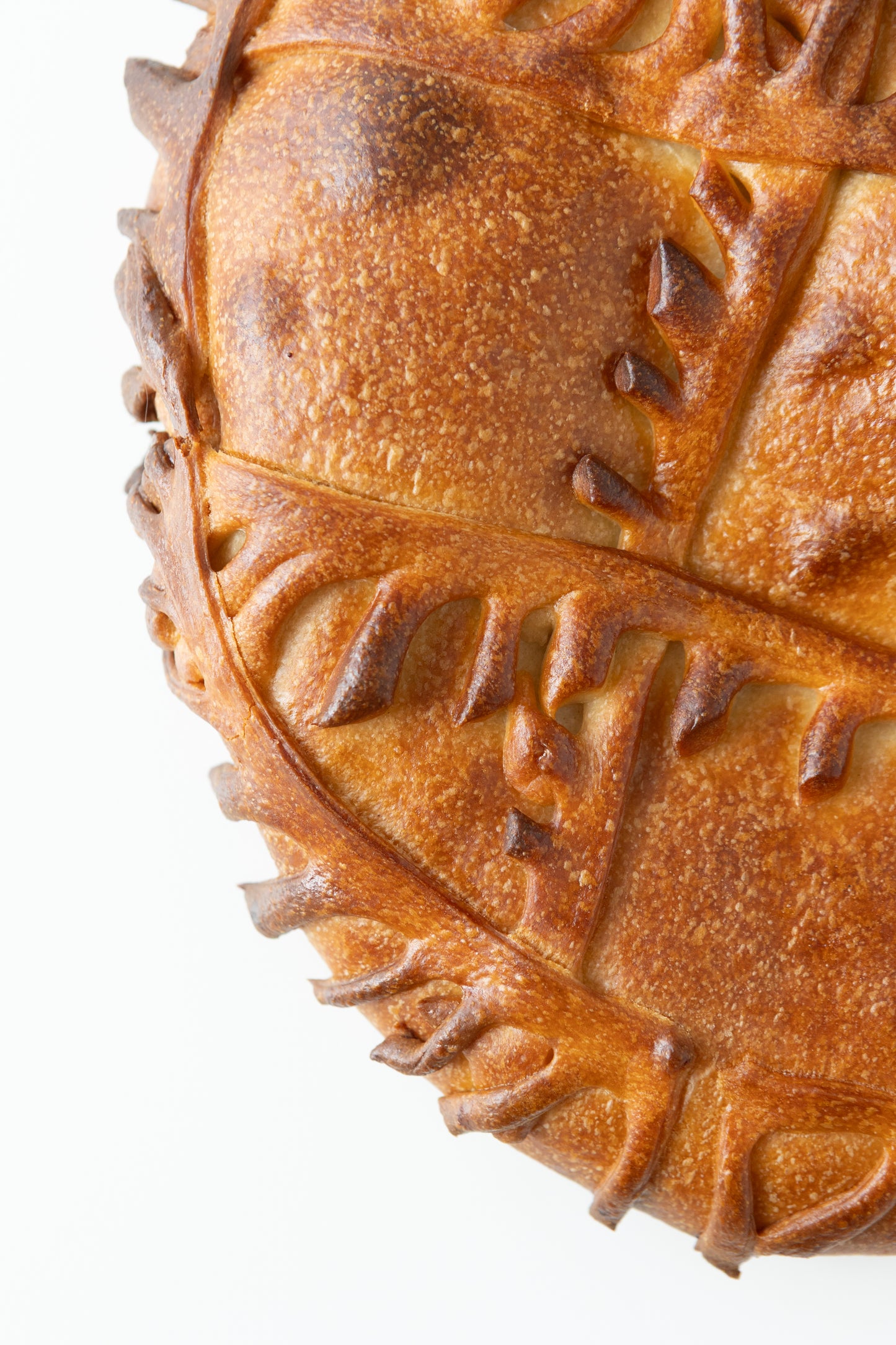 Scallion, Egg & Rice Pie