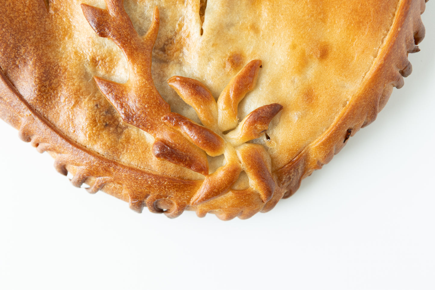 Cabbage & Pork Pie