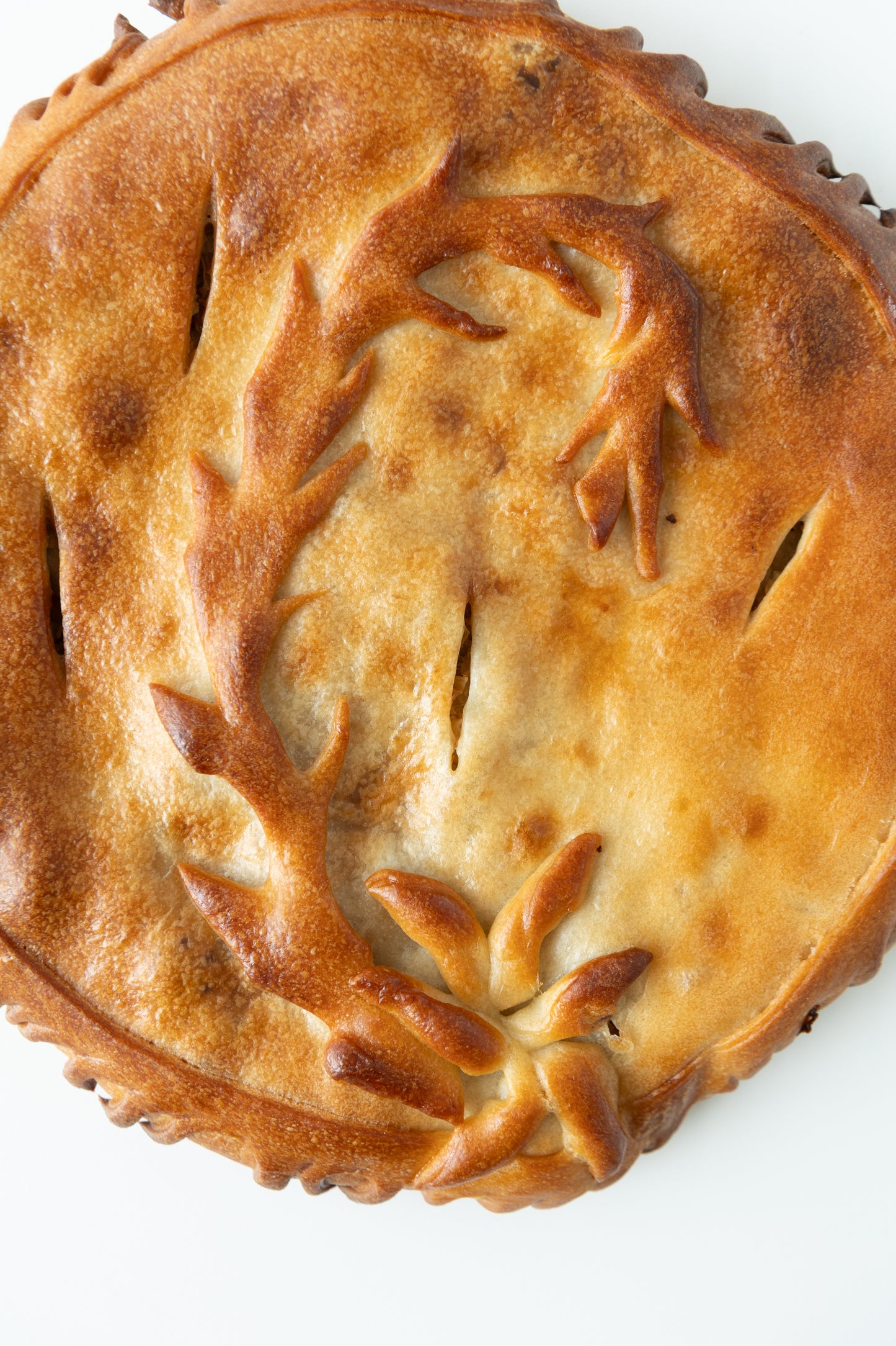 Cabbage & Pork Pie
