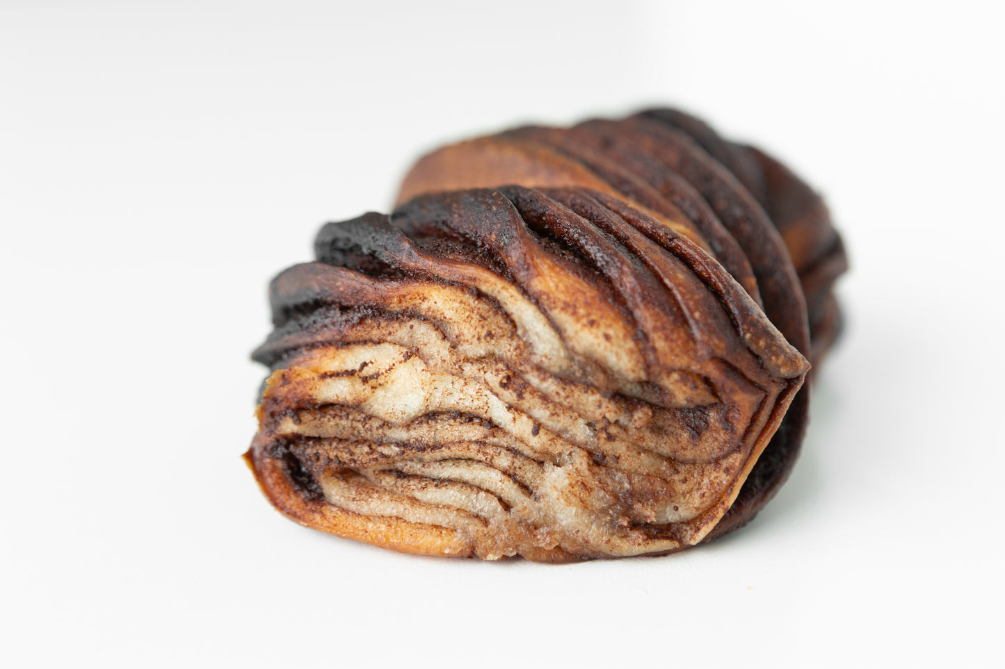 Chocolate Babka Bun